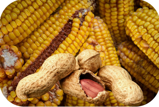 Lil' Critter: Corn Cobs & Peanuts