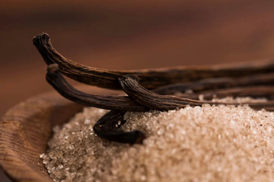 Man Stuff Tallow Lip Balm