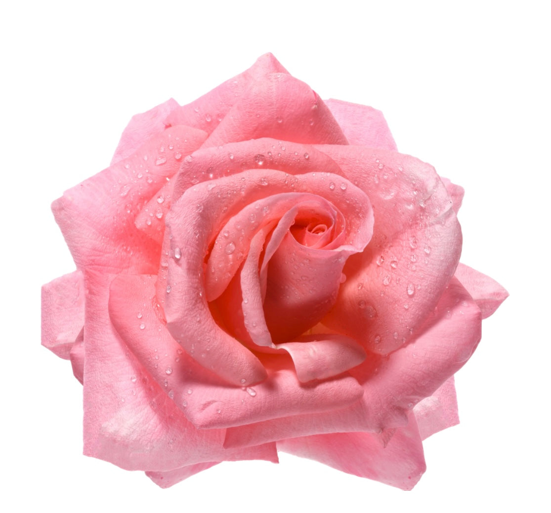 Mommy Magic: “Shower” Tallow Wipes