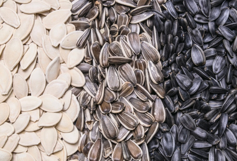 Lil' Critter: Sunny Pumpkin Seed Mix