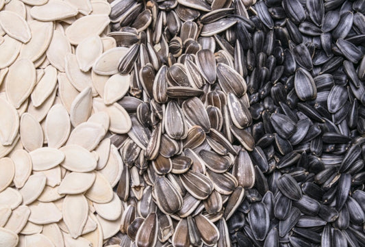 Lil' Critter: Sunny Pumpkin Seed Mix